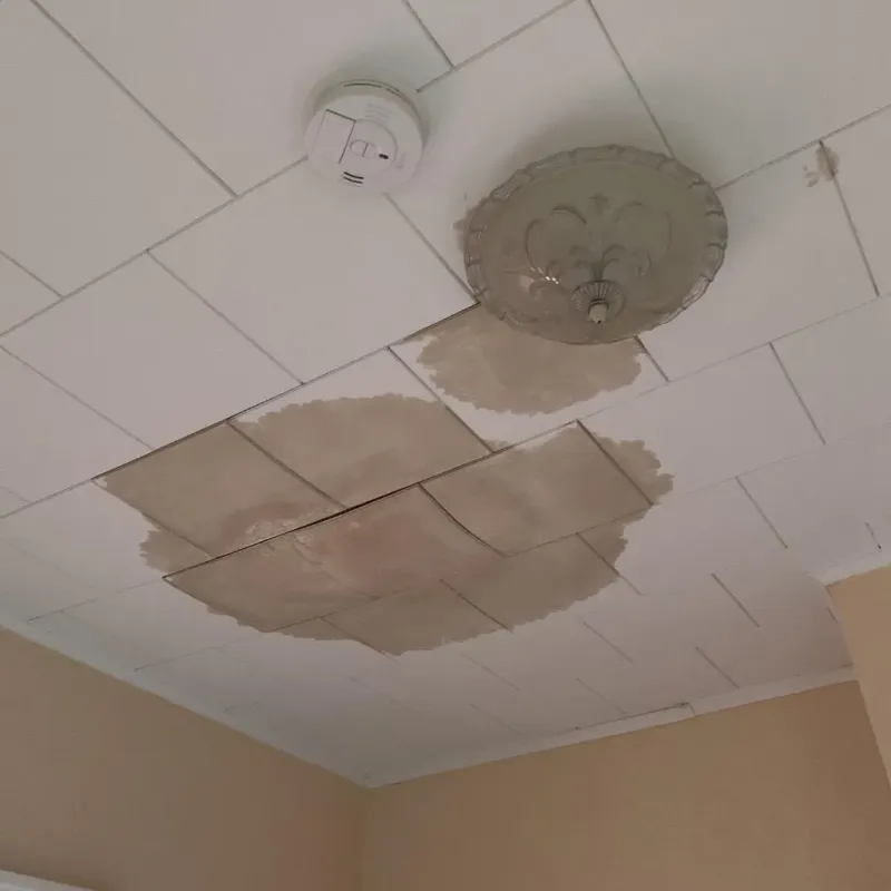 Ceiling Water Damage Repair in Cleveland, WI